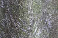 Margrove Park fibreglass roof work